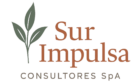 SurImpulsa